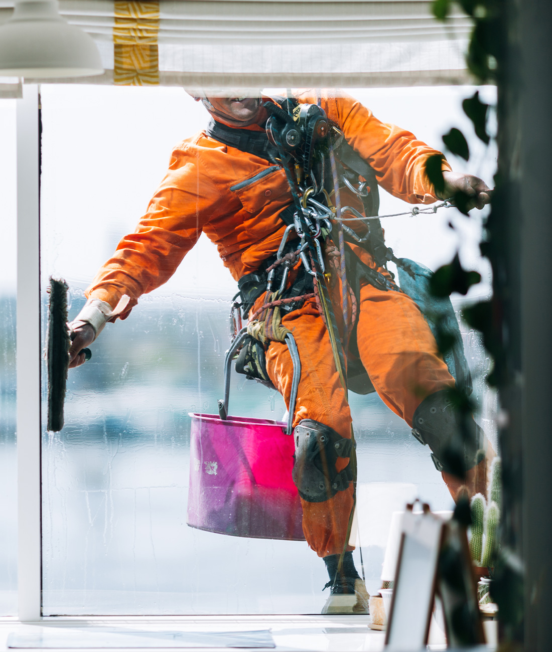 Professional window cleaner
